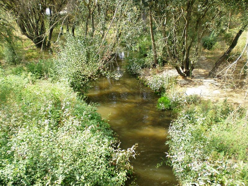 Imagen:Arroyo de Viñuelas.jpg